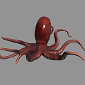 Red Octopus Marine Creature With Long Tentacles On Gray Background 3d model