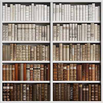 Wooden Bookshelf With Multiple Shelves And Neatly Arranged Various Colored Books 3d model