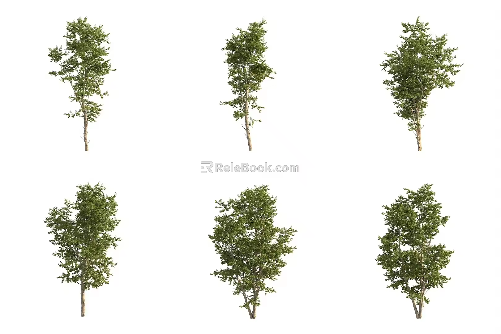 Witch Hazel Huanglan Plum Landscape Trees Big Trees Street Trees 3d model