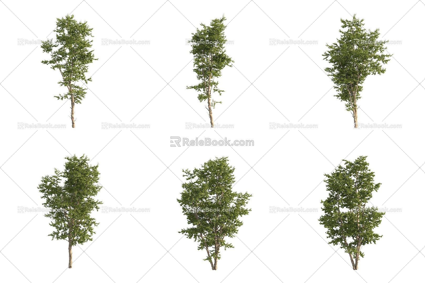 Witch Hazel Huanglan Plum Landscape Trees Big Trees Street Trees 3d model