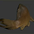 Whole Brown Fish With Shiny Scales On Dark Reflective Surface Displayed 3d model