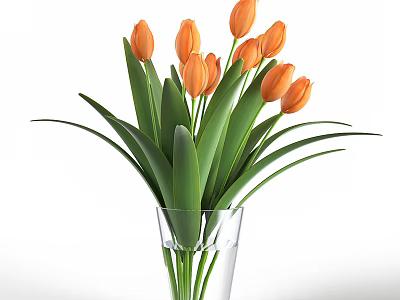Vibrant Orange Tulips in Clear Glass Vase with Lush Green Leaves 3d model