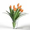 Vibrant Orange Tulips in Clear Glass Vase with Lush Green Leaves