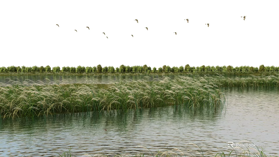 Natural Scenery With Water Area Lush Reeds Distant Trees And Flying Birds 3d model 