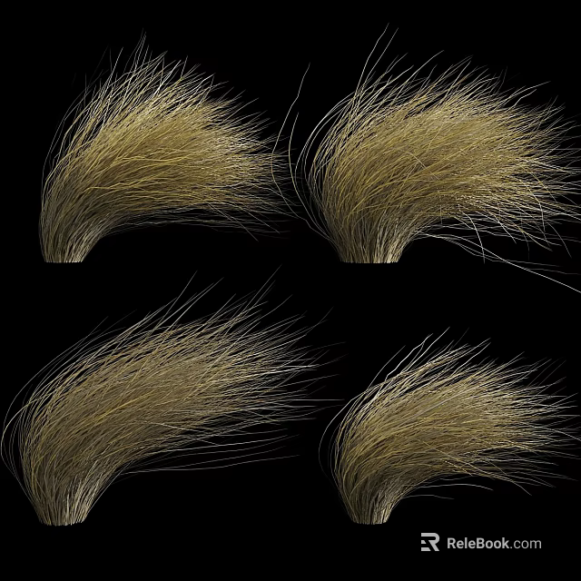 Four Golden Dry Grass Bunches Displayed On Black Background With Natural Texture 3d model 