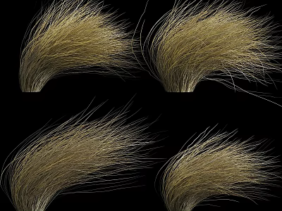 Four Golden Dry Grass Bunches Displayed On Black Background With Natural Texture 3d model