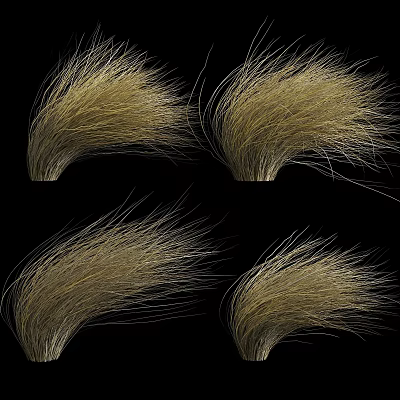 Four Golden Dry Grass Bunches Displayed On Black Background With Natural Texture 3d model