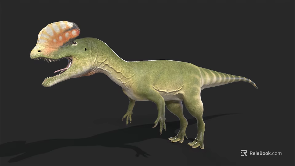 Realistic 3D Dinosaur Model With Green Body And Colorful Crest Open Mouth 3d model 