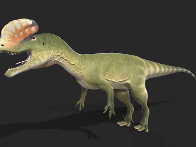 Realistic 3D Dinosaur Model With Green Body And Colorful Crest Open Mouth 3d model