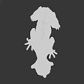Hairless Alien Like Creature With Wrinkled Skin Large Eyes And Pointed Ears On Black Background