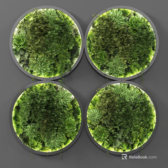 Circular Living Plant Wall Design with Lush Green Plants and Decorative Foliage 3d model 
