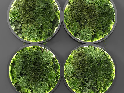 Circular Living Plant Wall Design with Lush Green Plants and Decorative Foliage 3d model