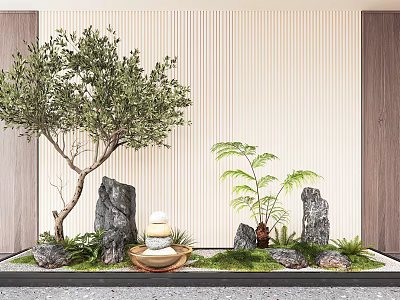 Indoor Landscape Design Featuring Olive Tree Stones Ferns Moss Striped Wall And Wooden Accents 3d model