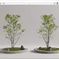 Modern Tree Pool Landscape Tree Pool 3d model