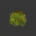 Cartoon Scene With Green Leafy Tree Trunk Mushrooms Stones And Flowers