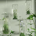 Hanging Transparent Glass Containers With Small Plants For Decorative Garden Accents