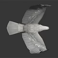 White Eagle With Spread Wings Standing On Black Smooth Surface With Reflection 3d model
