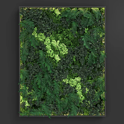 Lush Indoor Living Plant Wall With Diverse Green Foliage And Natural Design 3d model