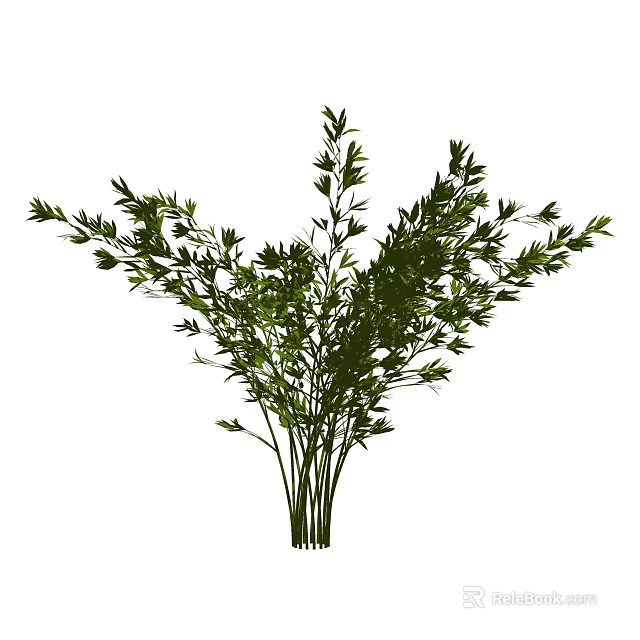 Green Bamboo Plant With Slender Stems And Lush Leaves In Natural Form 3d model 