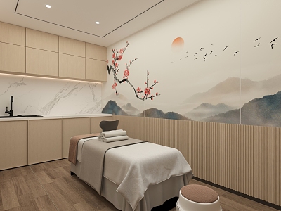 New Chinese SPA treatment room model