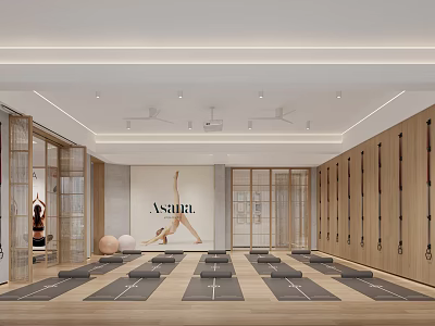 Modern Yoga Studio With Mats Balls And Wooden Lockers 3d model
