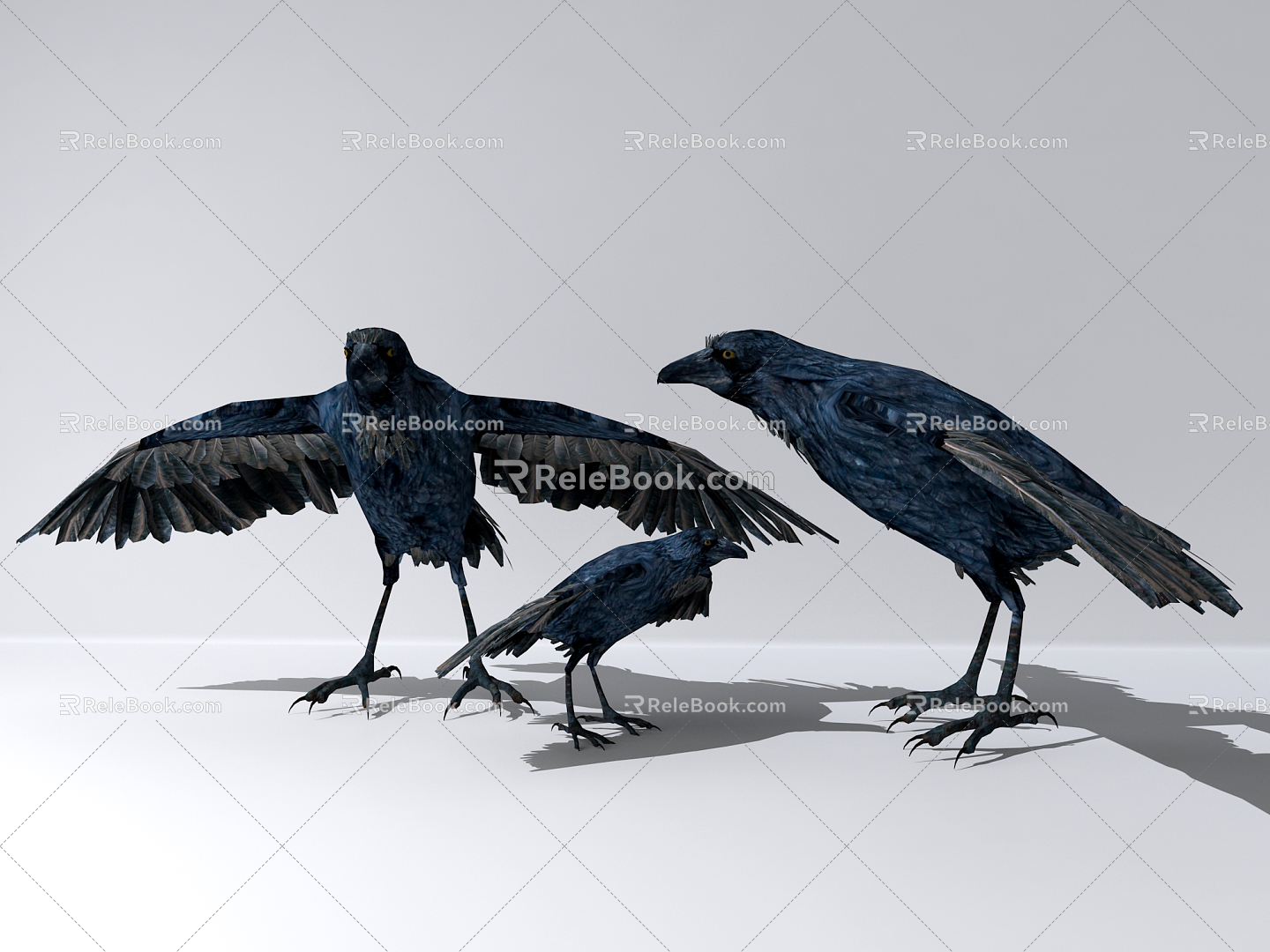 Modern Crow 3d model