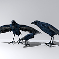 Modern Crow 3d model