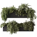 Two Black Rectangular Flower Planters with Various Green Hanging Plants Arranged Vertically 3d model