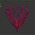 Red Plant With Branch Like Twiggy Structure And Decorative Artistic Design
