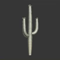 Tall Green Cactus Plant With Branching Arms And Spiny Texture Against Dark Background