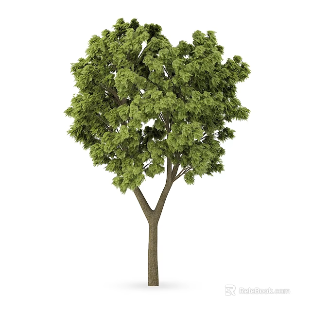Lush Green Arbor With Thick Trunk And Dense Foliage In Natural Setting 3d model 