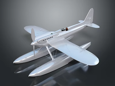Silver Seaplane Model For Aerospace Exploration With Floats And Propeller Wings 3d model