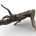 Natural Dry Tree Log With Rough Texture And Branchy Structure For Decoration 3d model