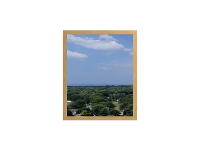 Wooden Framed Mirror Reflecting Blue Sky White Clouds Green Trees And Sea View 3d model