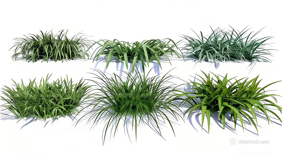 Lush Green Plant Combination With Various Grass Types And Different Leaf Shapes 3d model 