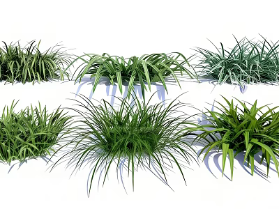 Lush Green Plant Combination With Various Grass Types And Different Leaf Shapes 3d model