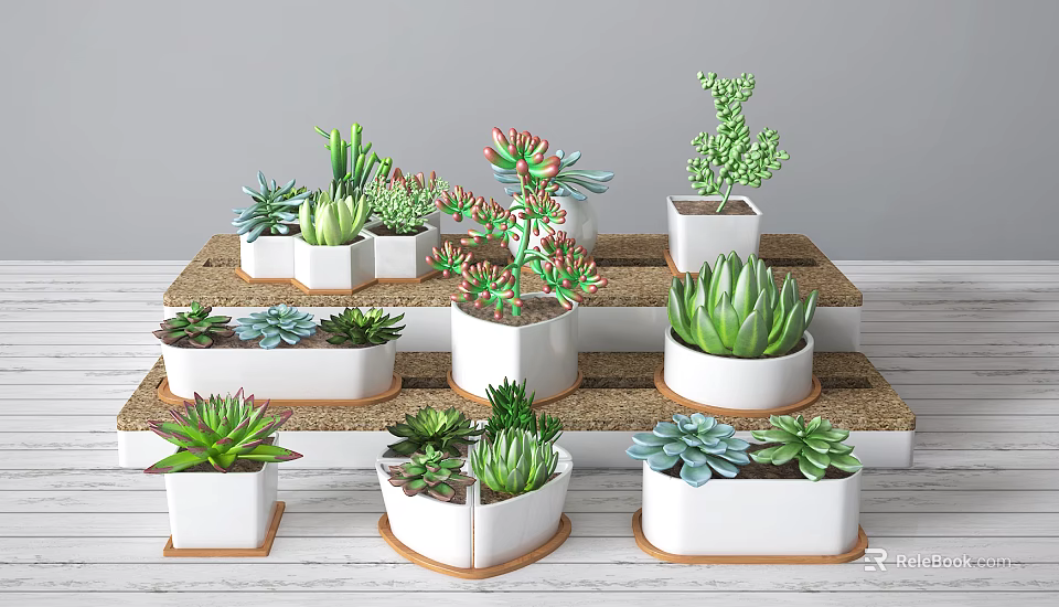 Various Succulent Bonsai Plants in White Ceramic Pots on Tiered Display Stand 3d model 