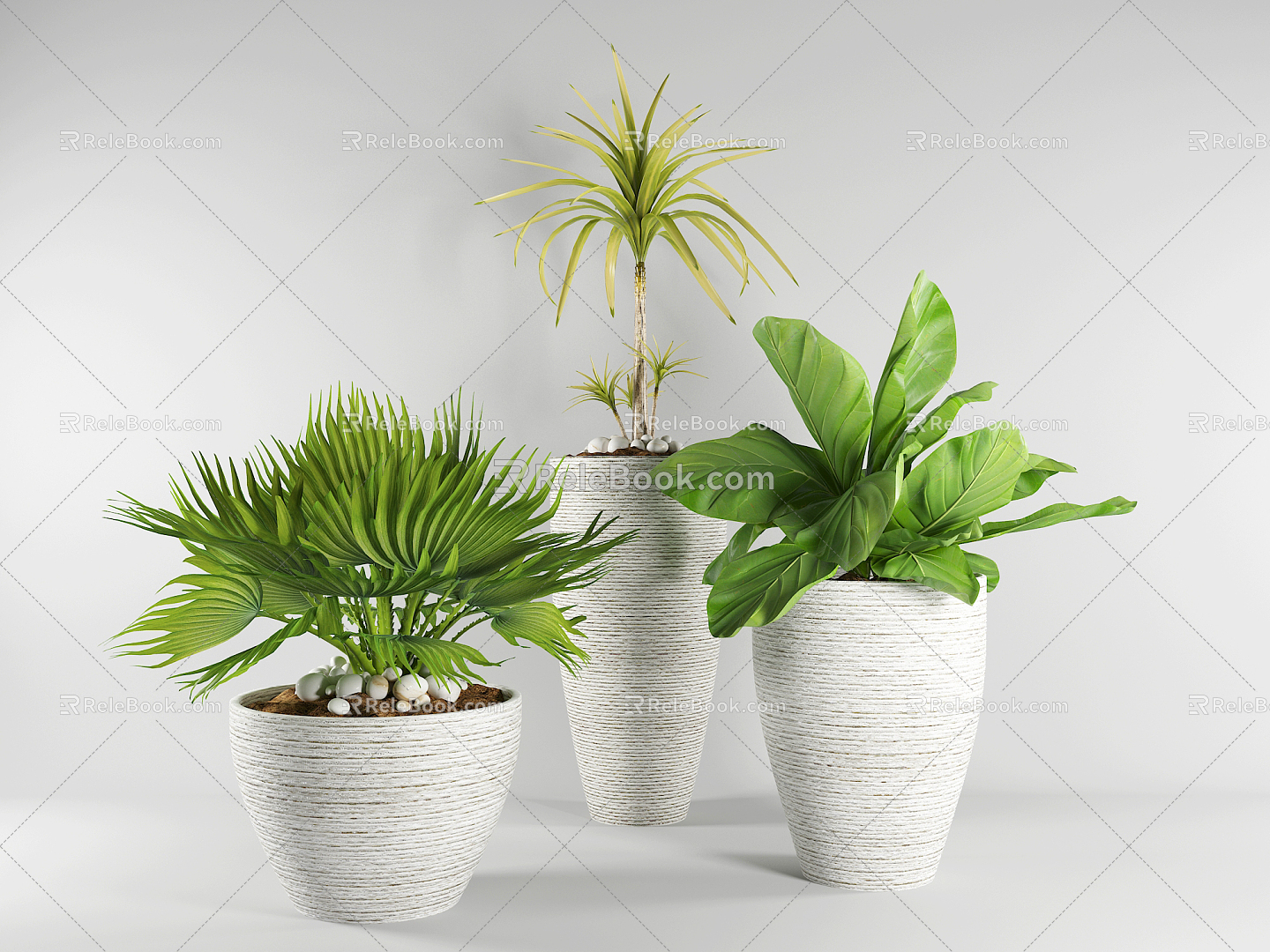 Modern potted plants 3d model