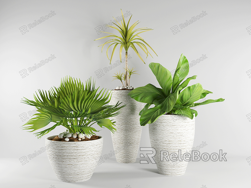 Modern potted plants model