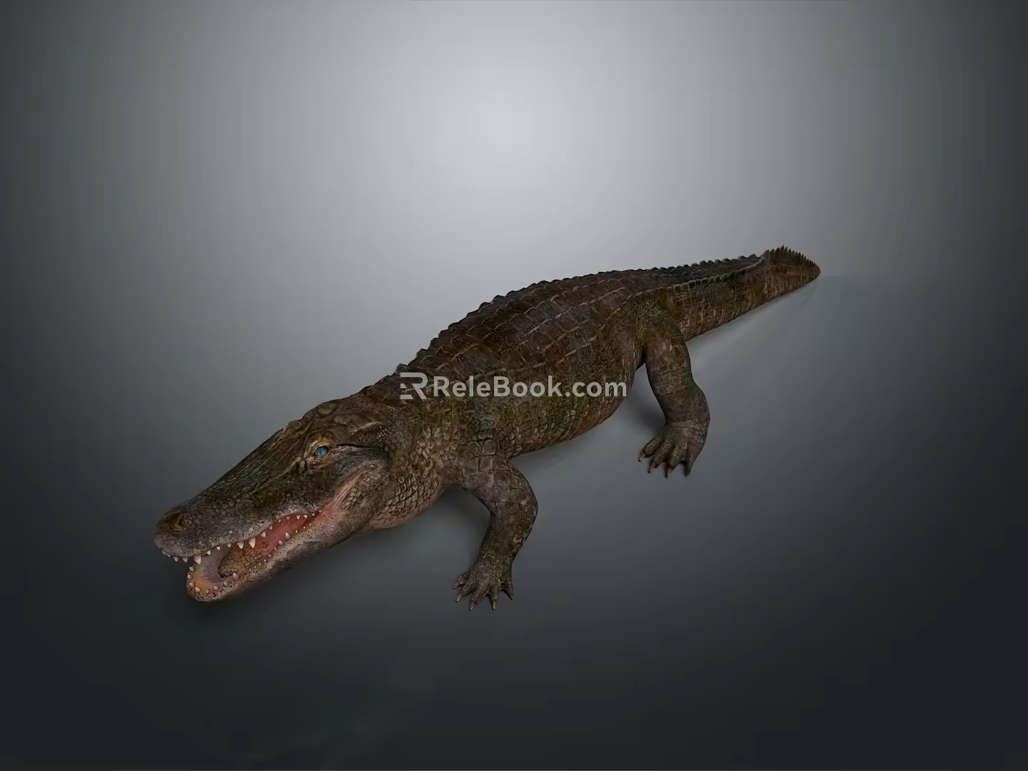 Crocodile Alligator Nile Crocodile carnivore reptile cold-blooded animal reptile 3d model