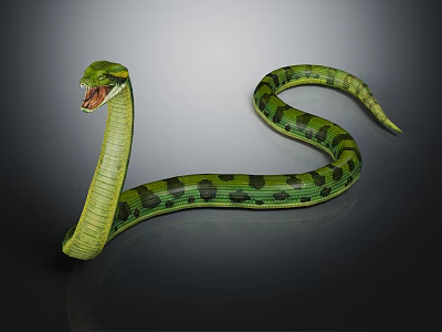 Green Snake With Open Mouth And Black Spots On Its Long Body Against Dark Background 3d model