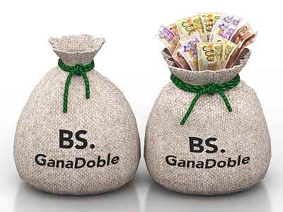 Two BS GanaDoble Sacks One Filled With Colorful Money Bills 3d model