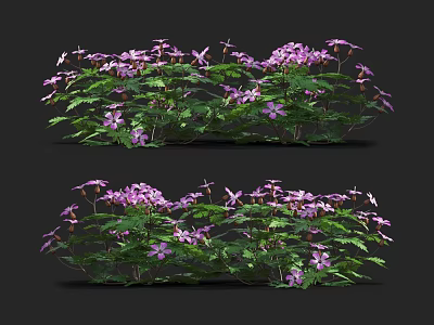 Vibrant Purple Flowers With Lush Green Leaves In Clusters On Black Background 3d model
