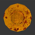 Yellow Rustic Column With Base And Textured Surface Design Element
