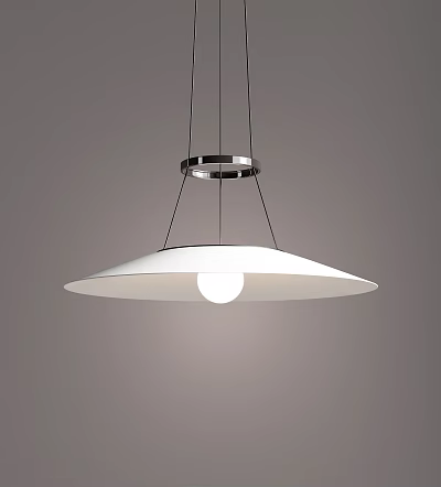 Modern Minimalist Ceiling Pendant Light Design With White Shade And Metallic Frame 3d model
