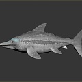 shark great white shark whale shark hammerhead shark tiger head shark man-eating shark blue shark coral red coral white coral 3d model