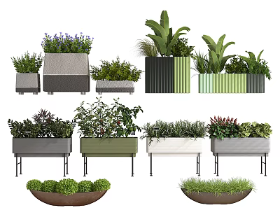 Bonsai Potted Plants with Diverse Container Styles and Lush Green Foliage 3d model