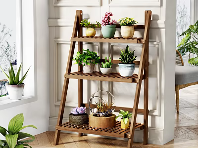 Wooden Tiered Shelf Displaying Various Potted Plants In Stylish Planters For Indoor Decor 3d model