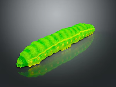 Vibrant Green Caterpillar With Yellow Spots On Dark Reflective Surface 3d model