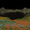Stunning Starry Night Alpine Lake Landscape With Blooming Vibrant Wild Flowers On Green Surrounding Hills